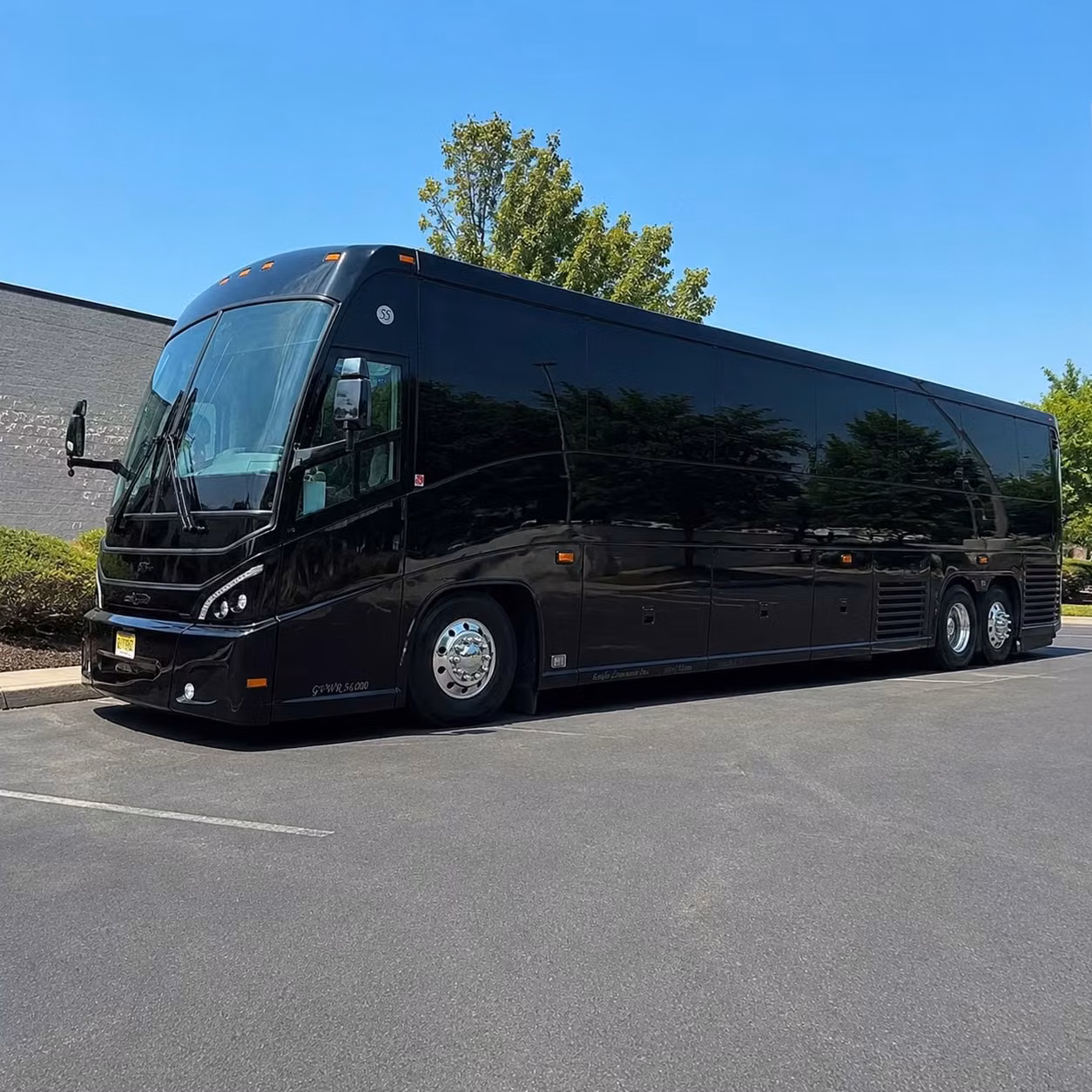 denver science and nature field trips made easy with charter bus transportation
