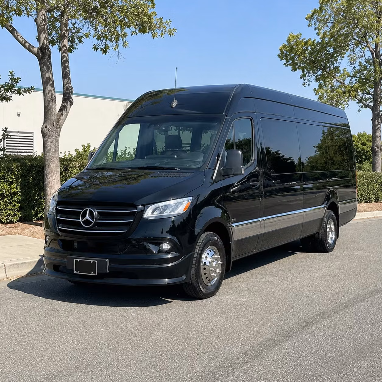 sprinter van with driver